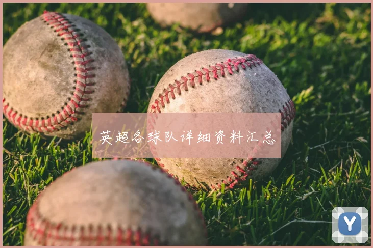 英超各球队详细资料汇总